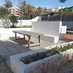Araucaria * Dénia