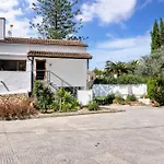 Araucaria * Dénia