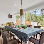 Araucaria Dénia